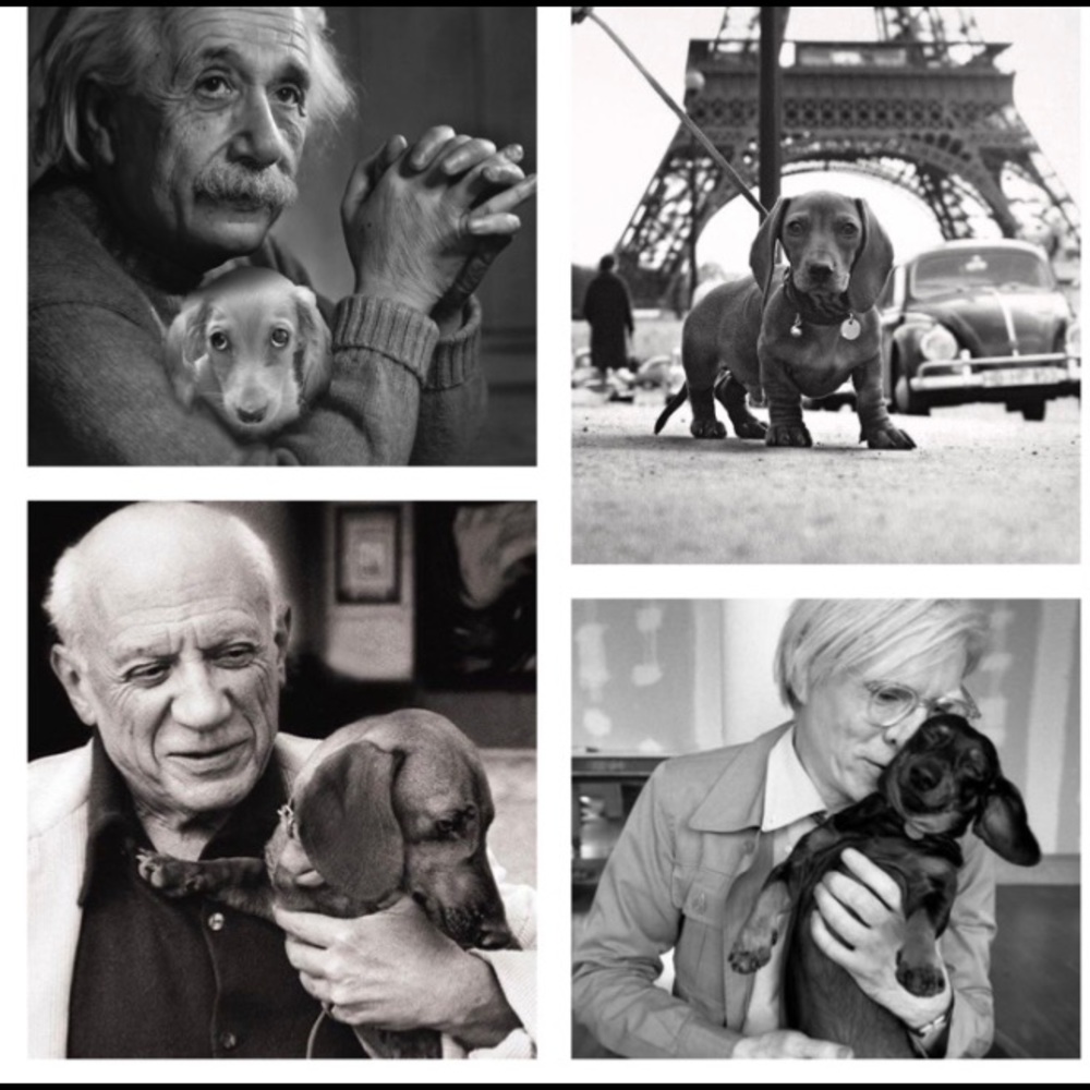 🌟Dachshund Pals Wall Art - Picture 11 of 16